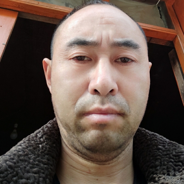芒果改变踏实的照片