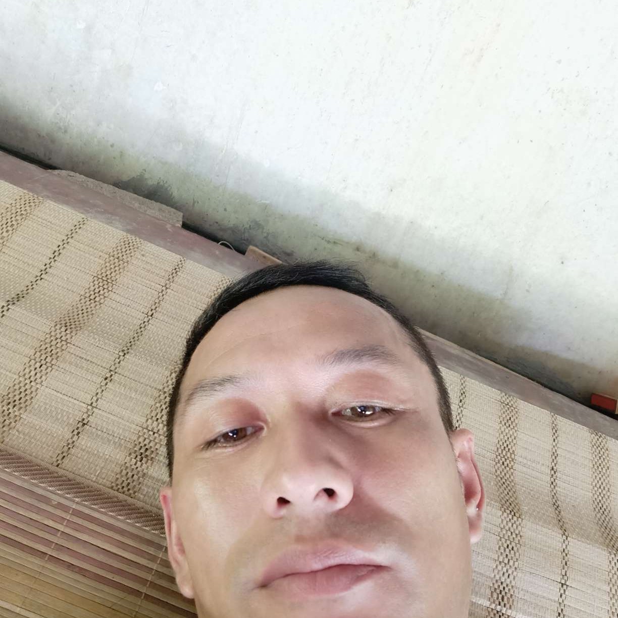 大侠浅吻苗条的照片
