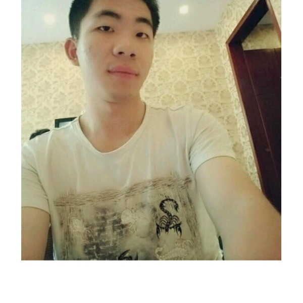 布丁边牧的照片
