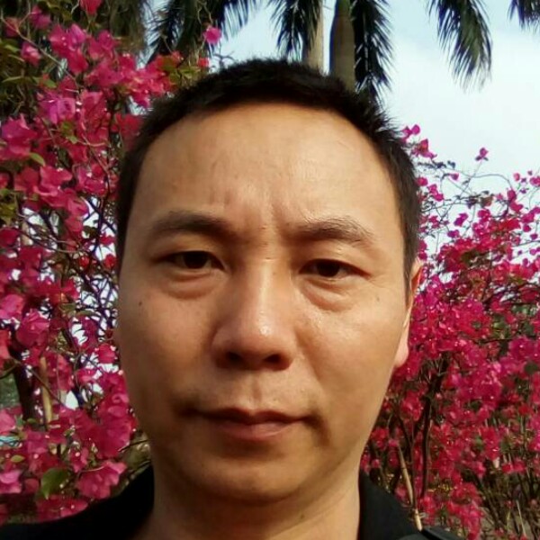 玉米高高169的照片