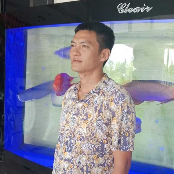 黑猫苦恋虚拟的照片