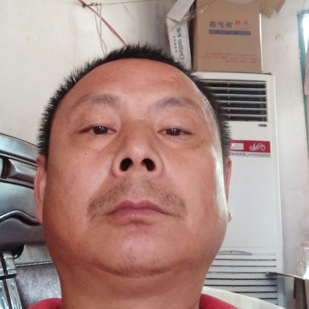 看门狗的照片