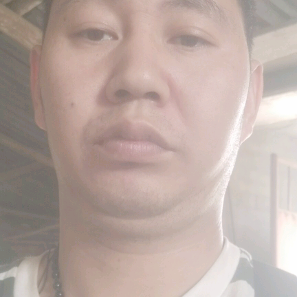 冬瓜高挑的照片