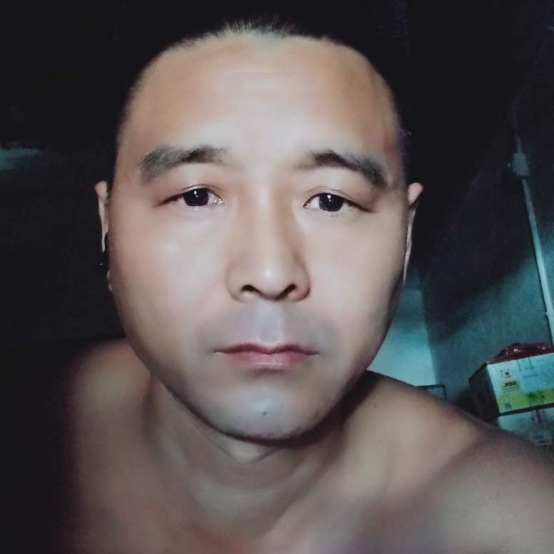 飞鸟等待粗犷的照片