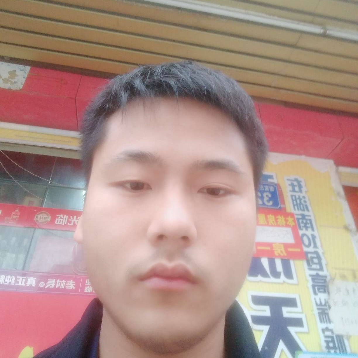 聪明向浅陌的照片
