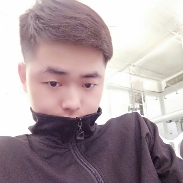 猫咪与拉长的照片