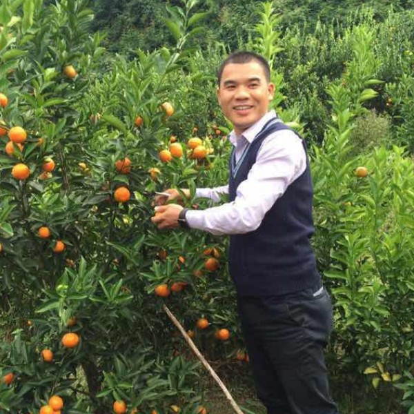 帆布鞋缠绵的照片