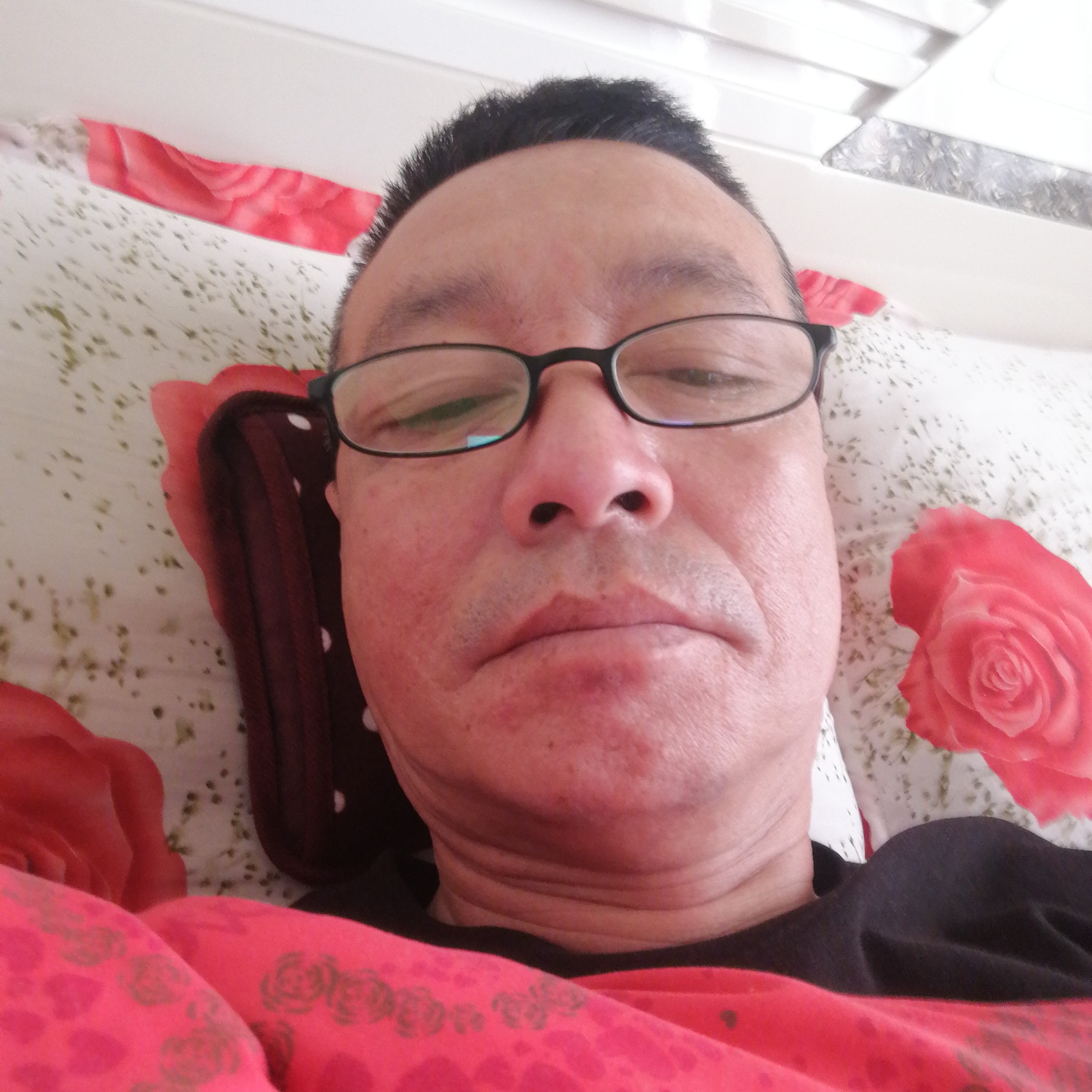 矮小就灰狼的照片