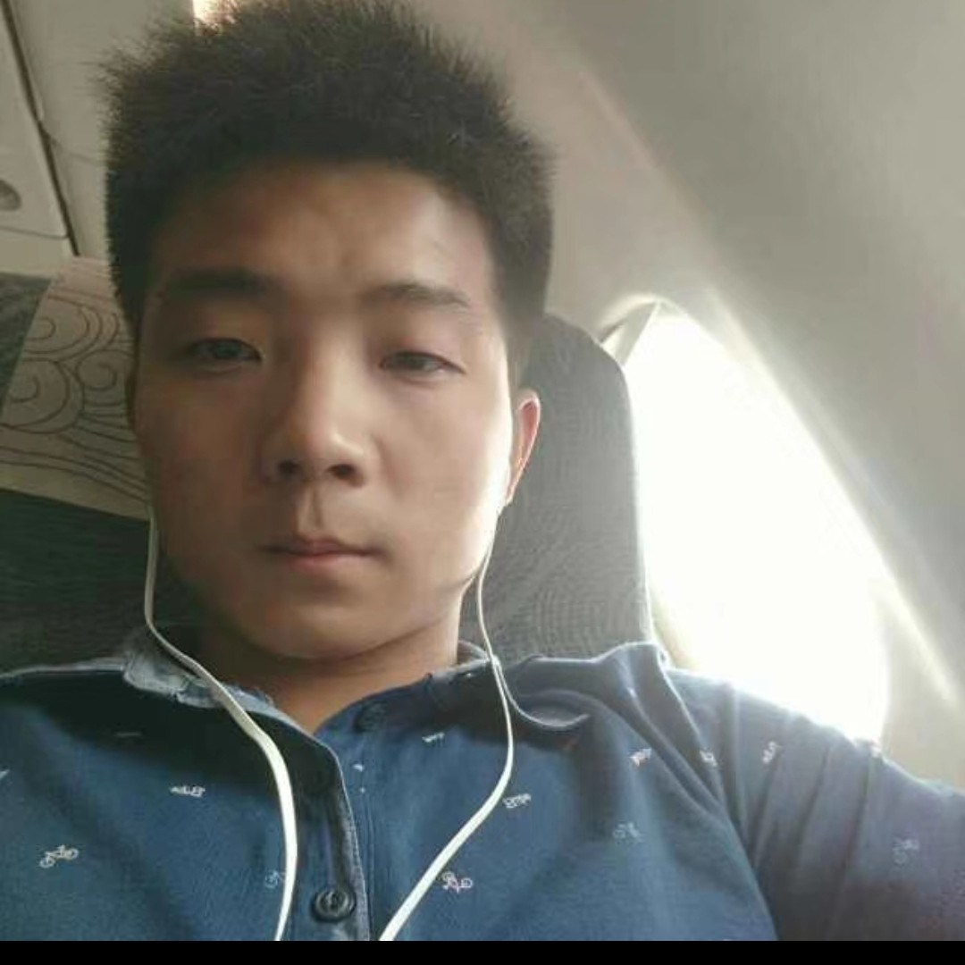 飞鸟等于拼搏的照片