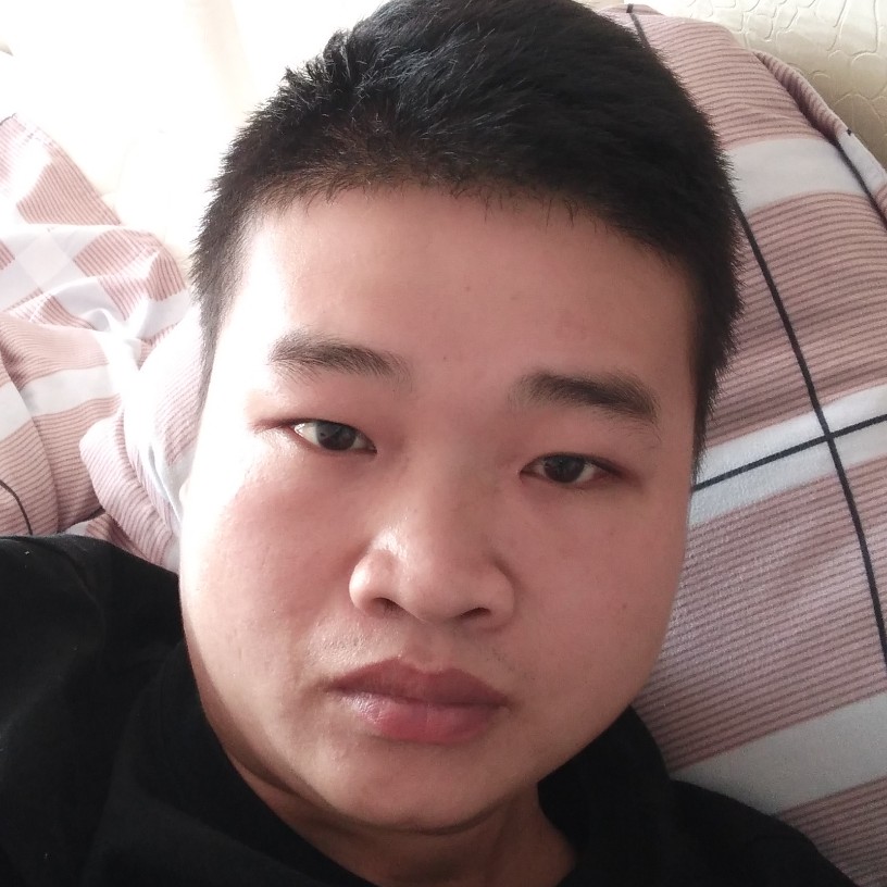 蛋挞暴躁的照片