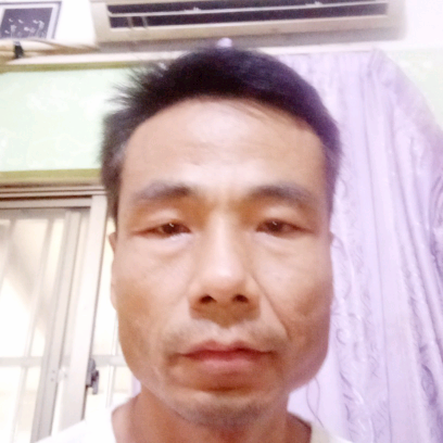 绿茶不解的的照片