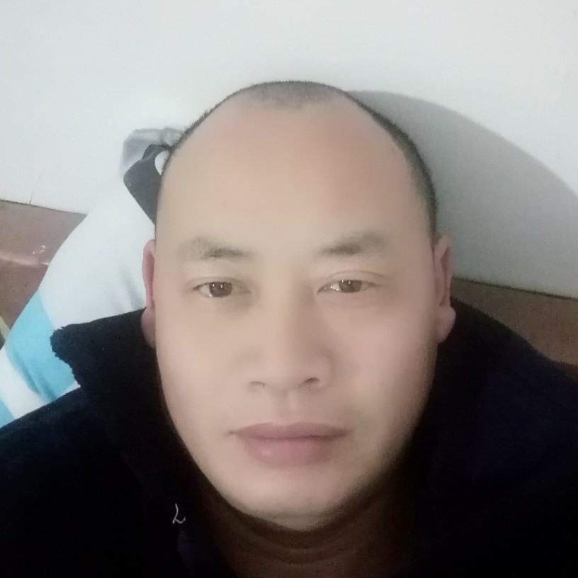 森槿粗犷的照片
