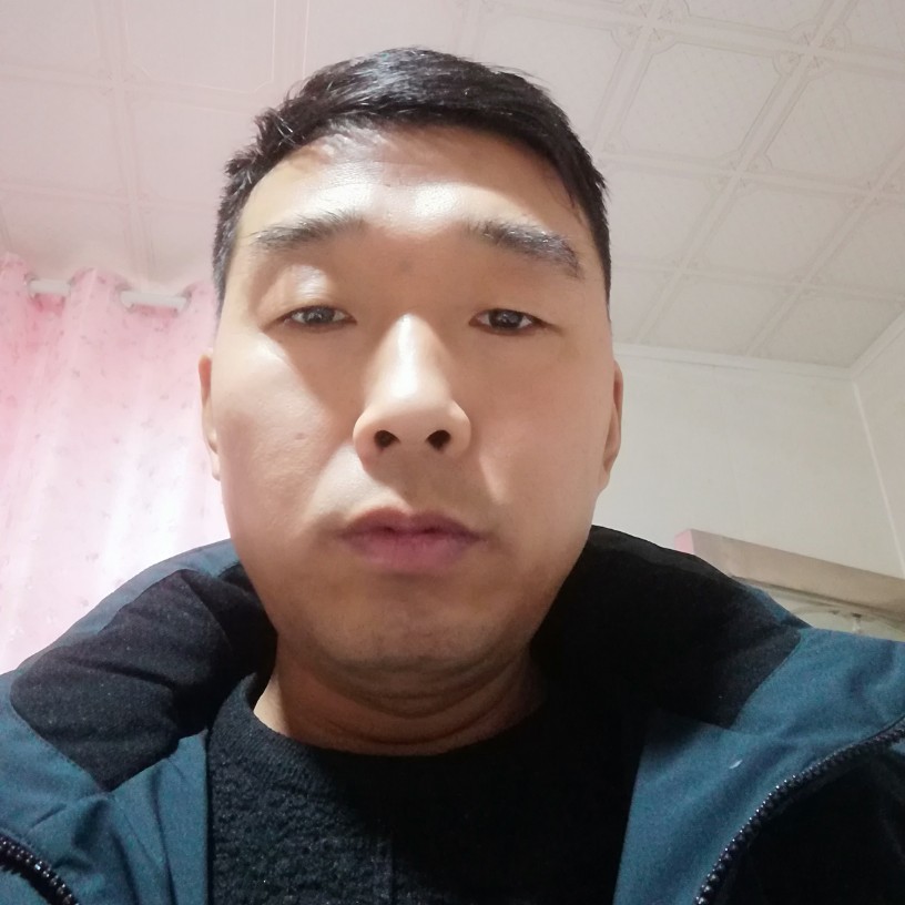 斑马笑傲娇的照片