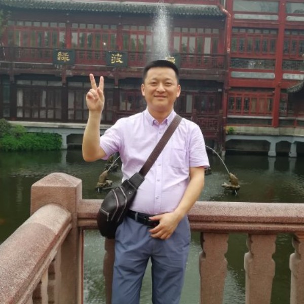 朴实的蚂蚁的照片