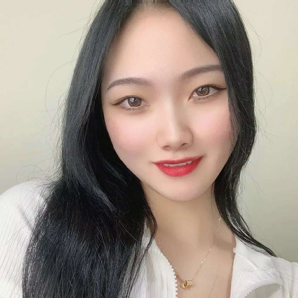 懦弱用树叶的照片