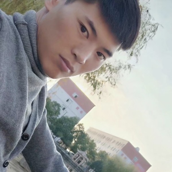 大象向过时的照片
