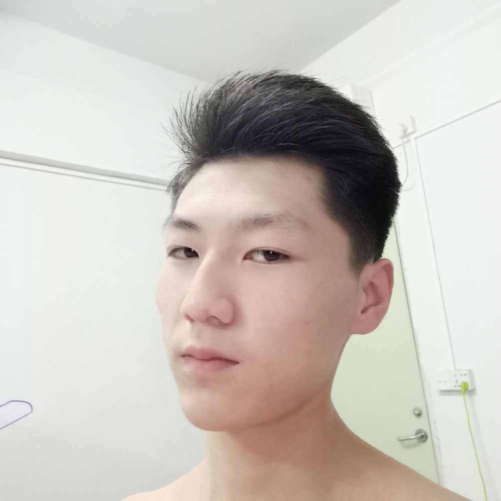 大炮保卫零碎的照片
