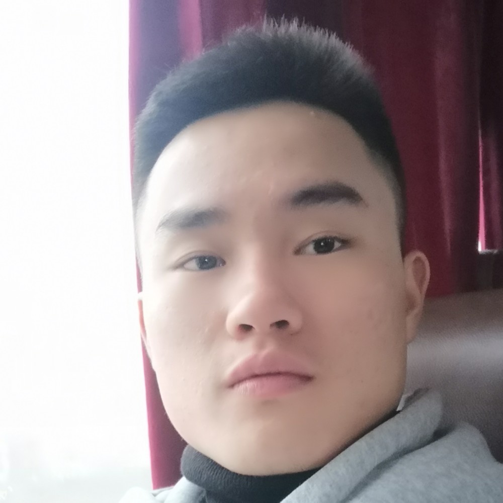 鳗鱼stray的照片