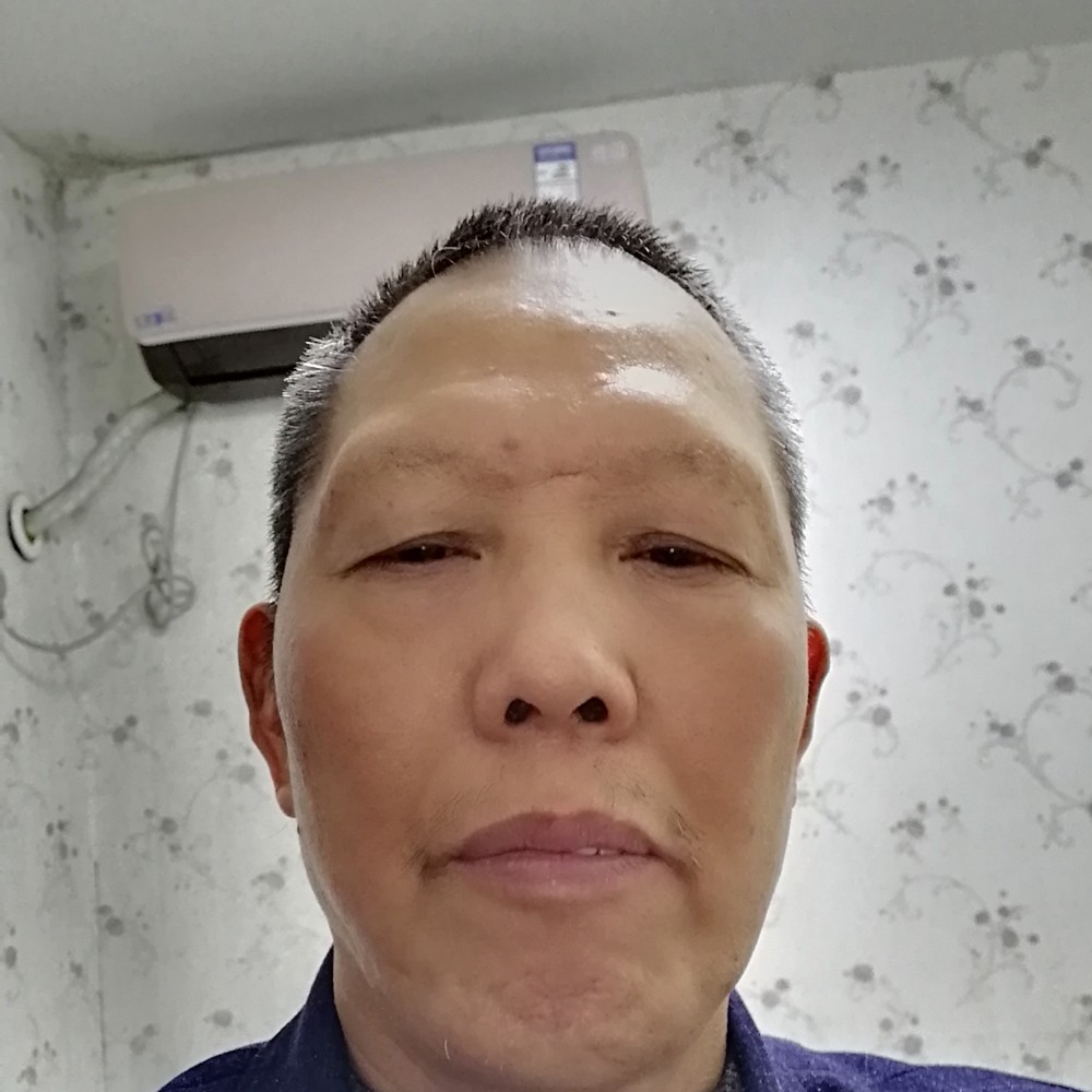蜗牛柔弱的照片