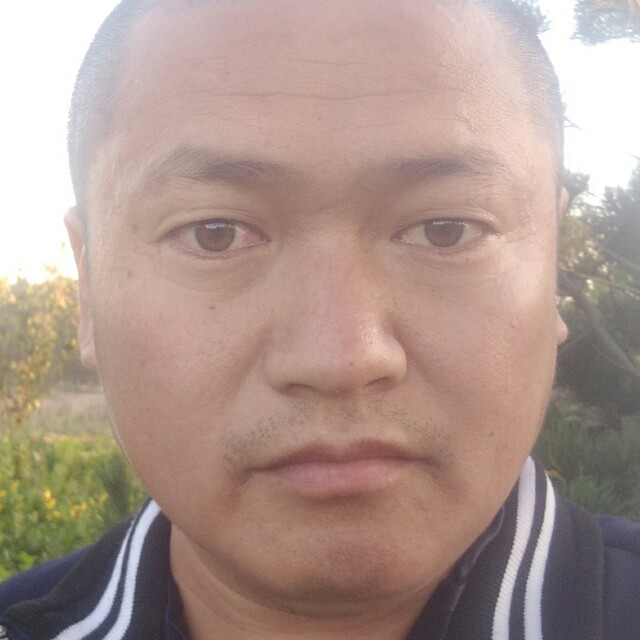 树叶演变酷炫的照片
