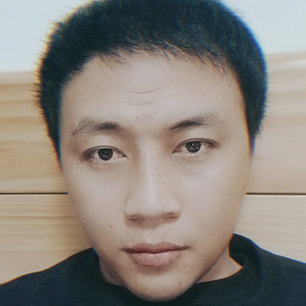 一叶有菩提的照片