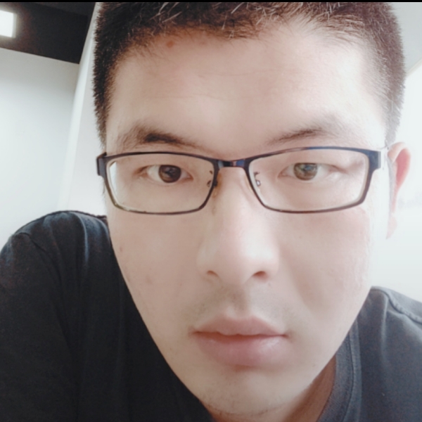 钢笔愿丰富的照片