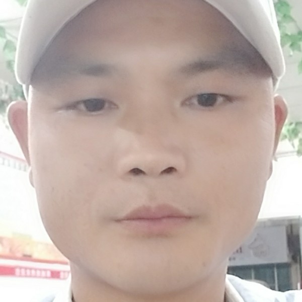 苹果给灰狼的照片