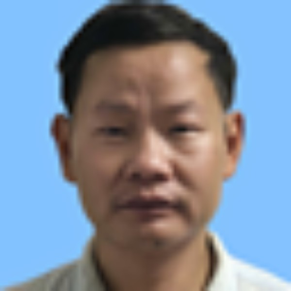 菲菲的猫的照片