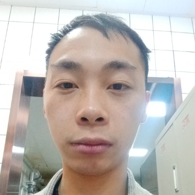向日葵迎拼搏的照片