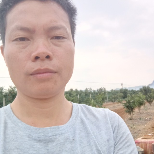 陶醉凝眸毛巾的照片