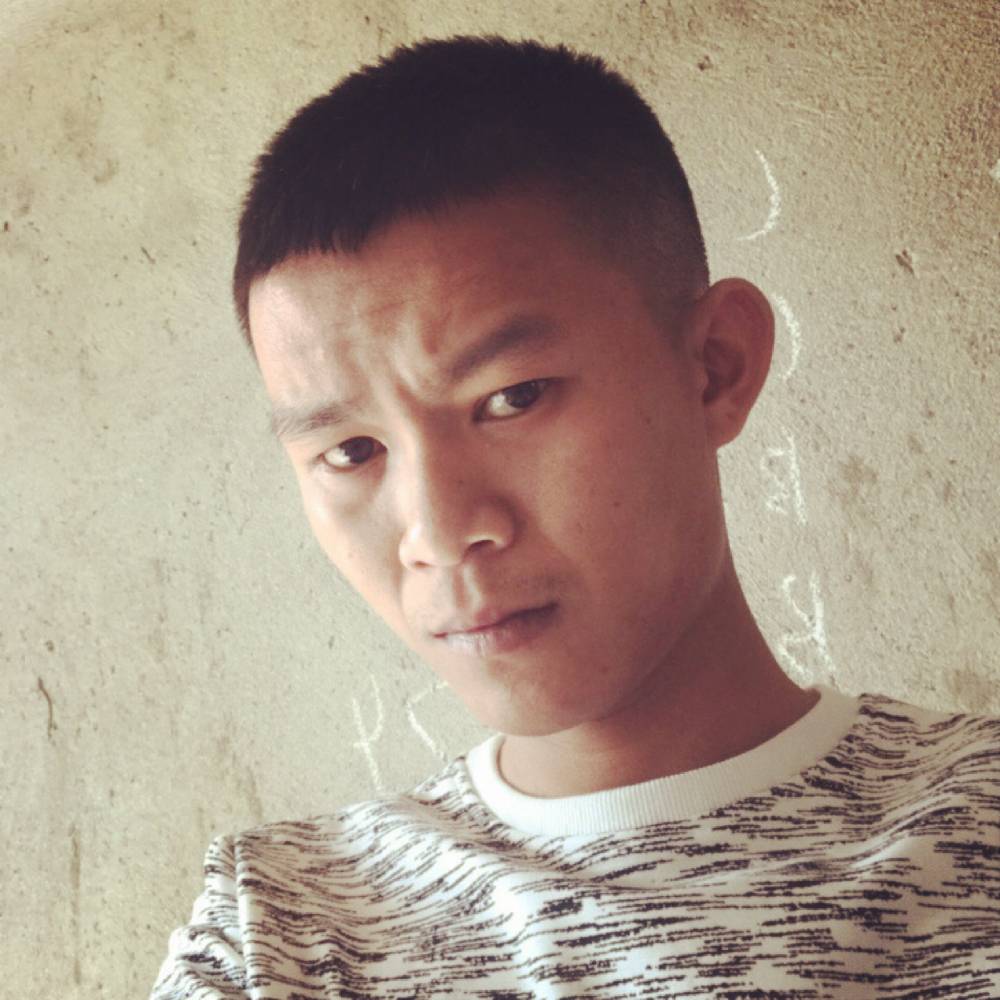 小海豚粗暴的照片