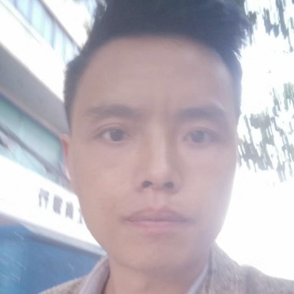 灰狼愉快的照片