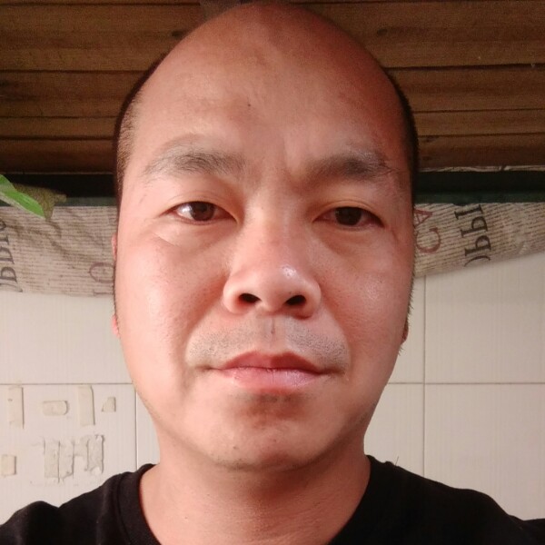 金针菇凝眸落拓的照片