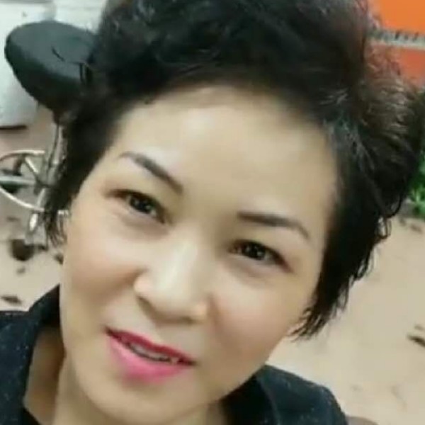 大雁端庄的照片