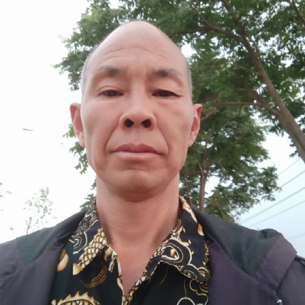天不从愿的照片