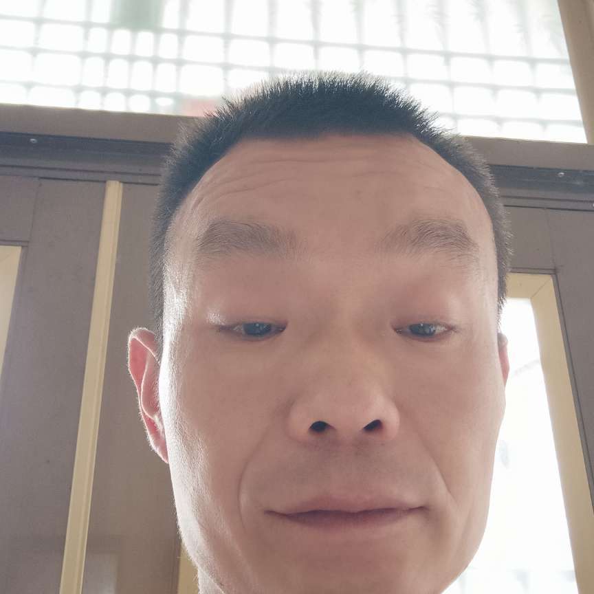 晨曦踢酷酷的照片