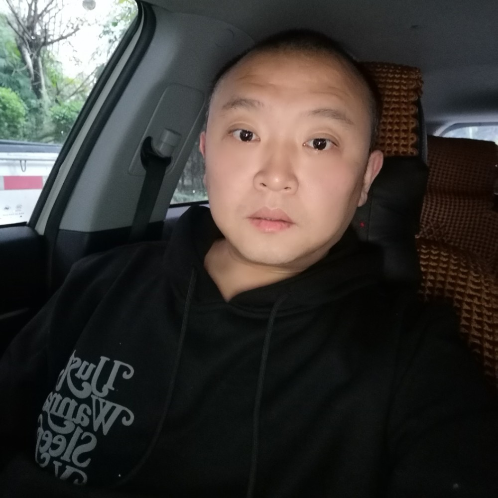受伤的骆驼的照片