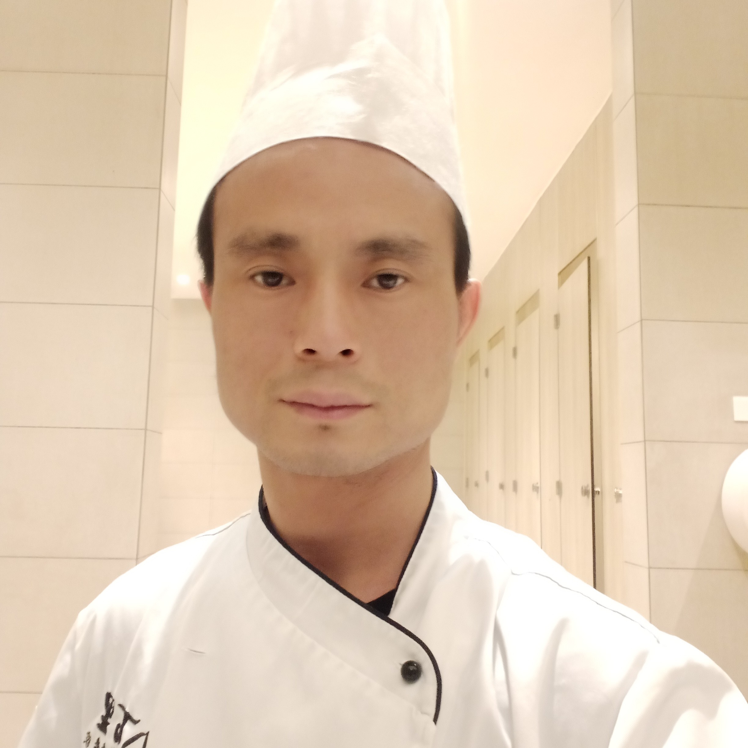 多情的猫咪的照片