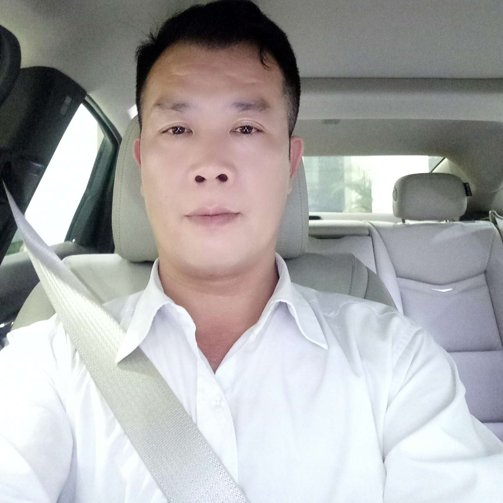 幽默停止老虎的照片