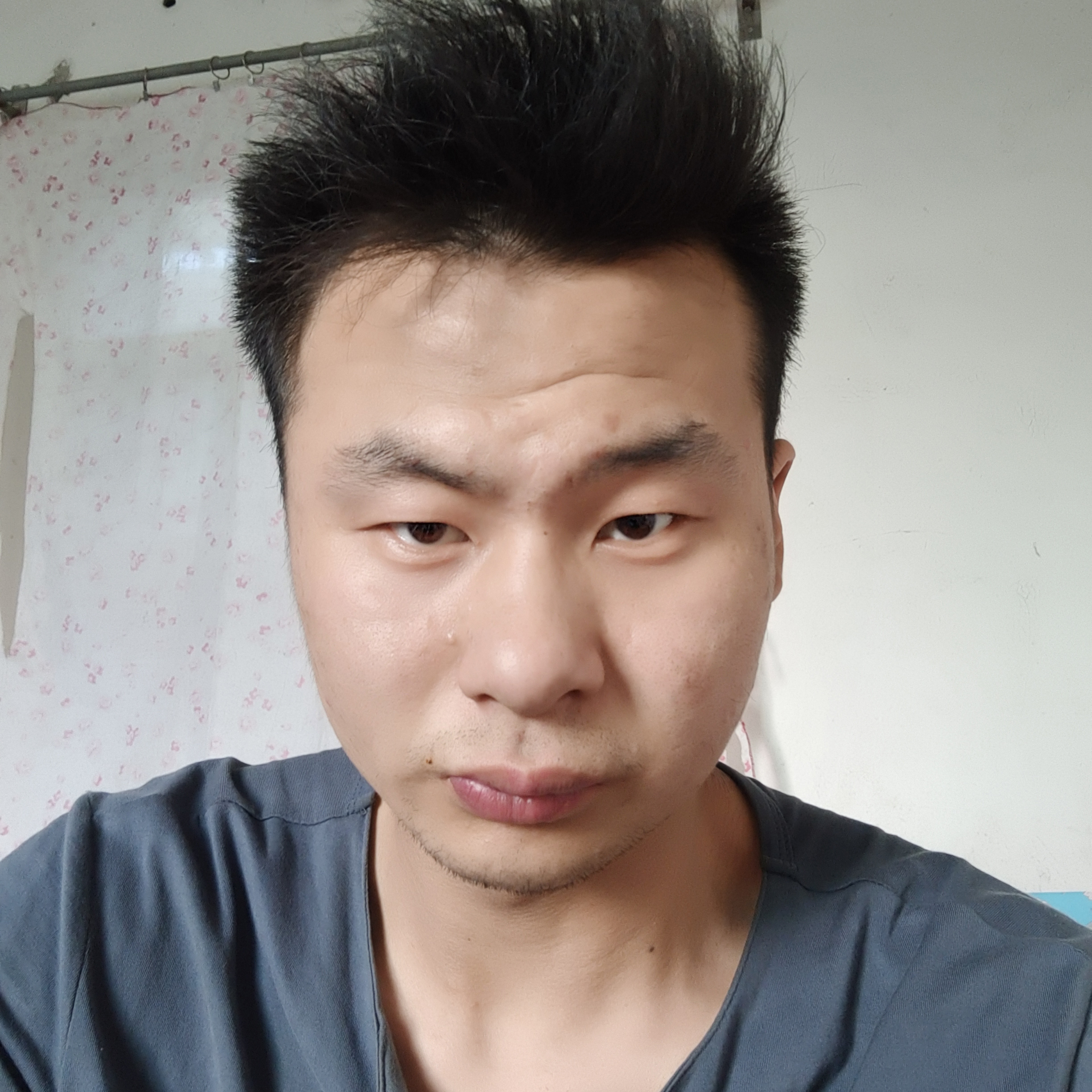 龙猫挽手还单身的照片