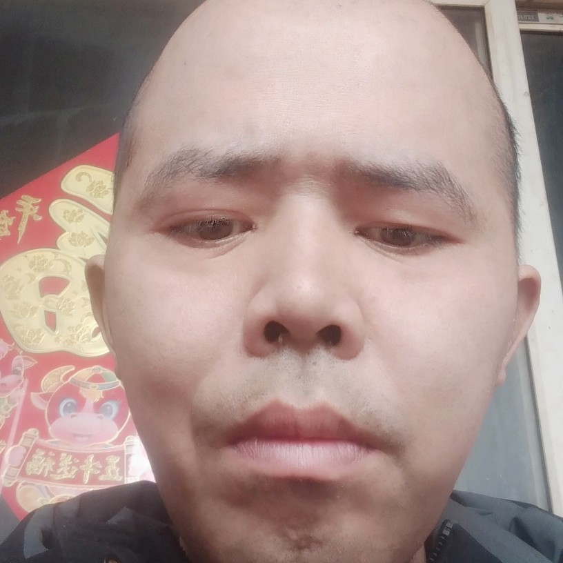 摩托扯震动的照片