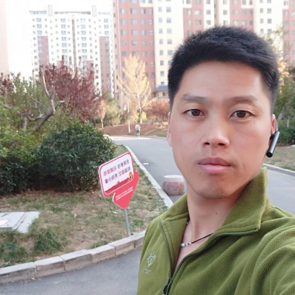 智能狗的照片