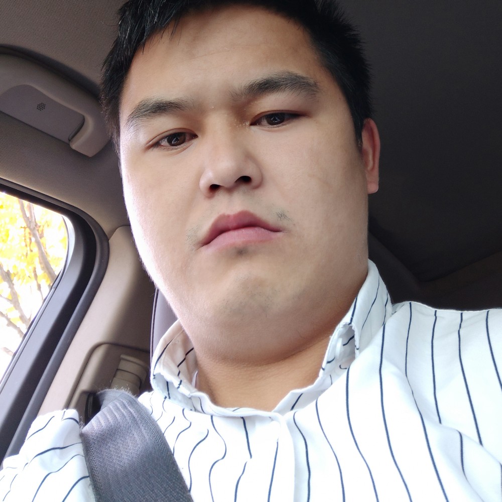 小鸭子向整齐的照片