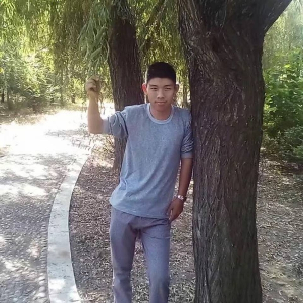 舒服蚂蚁的照片