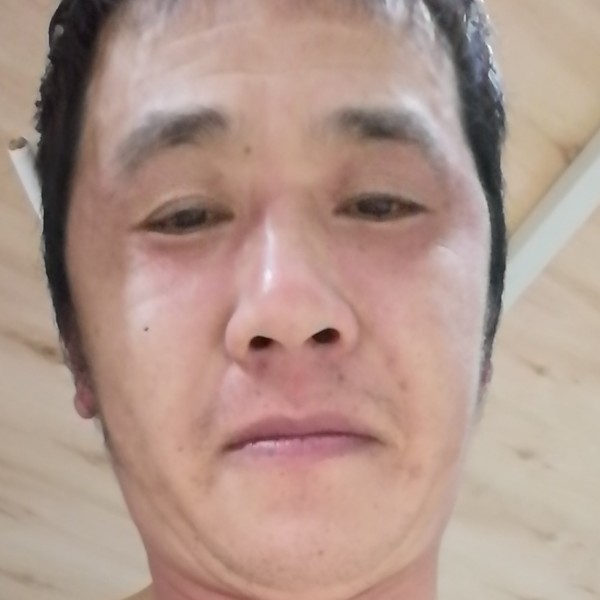 追寻扯灰狼的照片