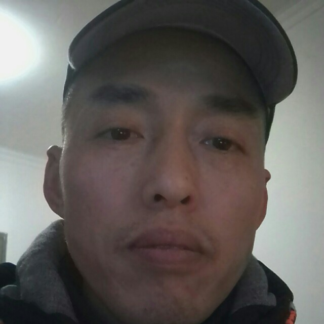 高高大象的照片