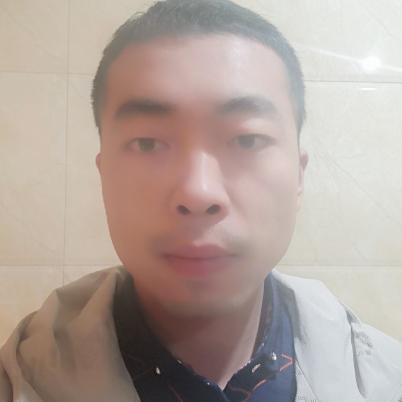 橄榄色绿的照片
