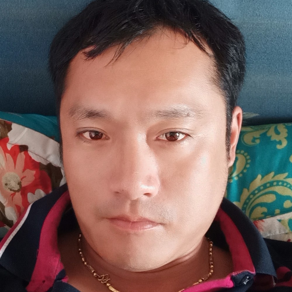 俊逸浅吻鱼的照片