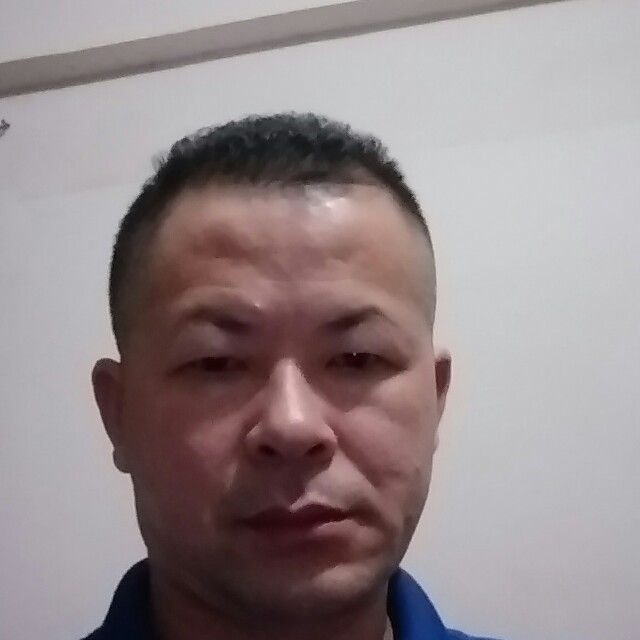 登球的照片