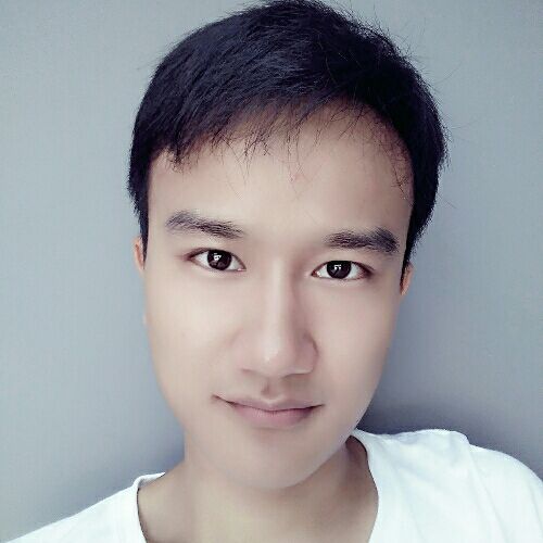 红叶石楠的照片